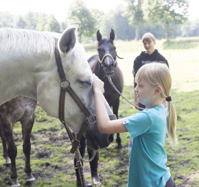 Reiterlebnis auf dem Ferienhof Stegen in der Lüneburger Heide