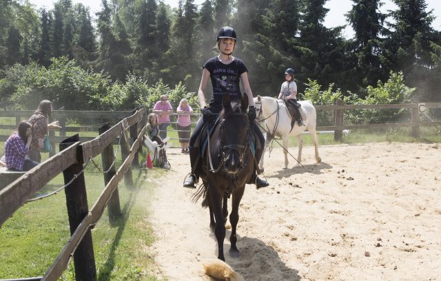 Reitunterricht auf dem Ferienhof Stegen