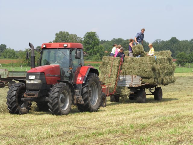 Urlaub auf dem Bauernhof in der Lüneburger Heide