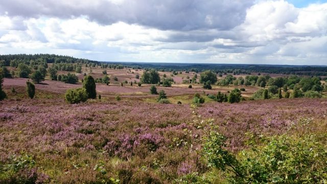 Ruhe und Erholung in der Lüneburger Heide