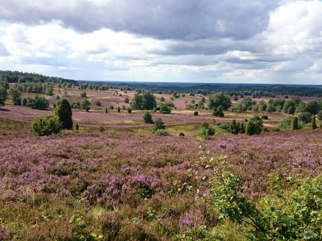 Ruhe und Erholung in der Lüneburger Heide