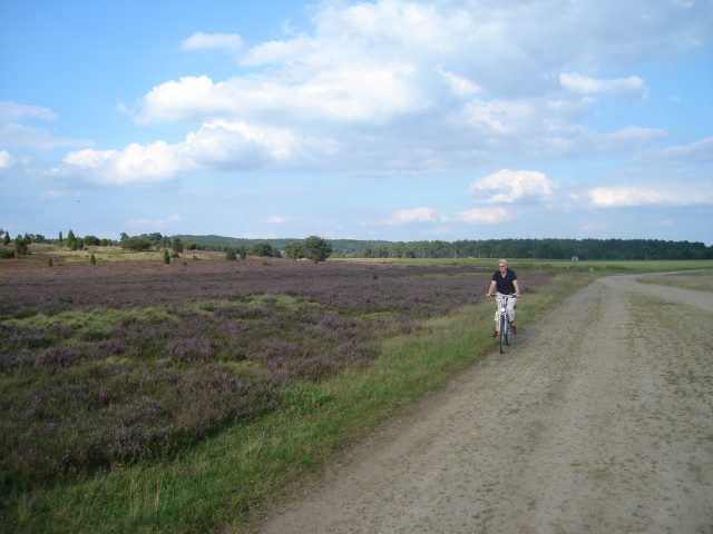 Entdecken Sie Natur und Umgebung der Lüneburger Heide